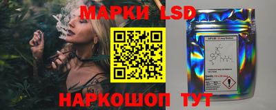 spice Пенза