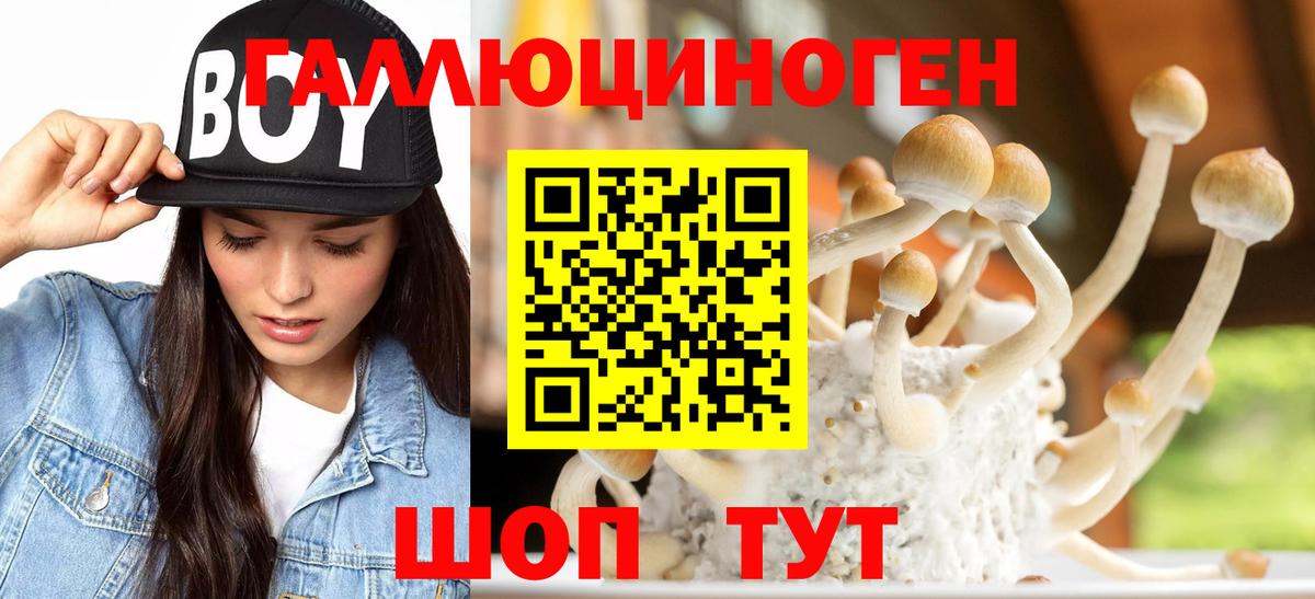 Псилоцибиновые грибы Cubensis Удомля
