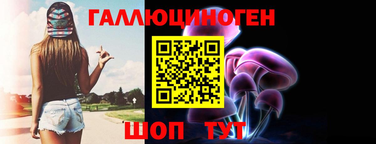 Удомля  Галлюциногенные грибы GOLDEN TEACHER  Вход с VPN 